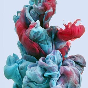 Meet your Posher, Trey